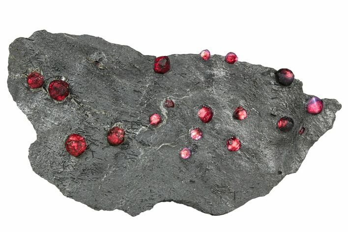 Plate of Red Embers Garnets in Graphite - Massachusetts #301211